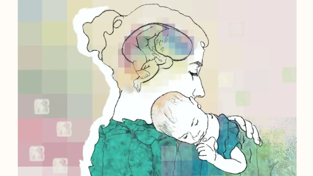 Illustrated image of a mother holding her baby, with a depiction of a brain inside the mother’s head symbolizing neurological changes during pregnancy and postpartum.