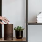 Hand touches Alexa device on table next to small potted plant.